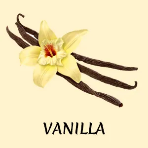 Flavor Vanilla - Heladería la Tejita